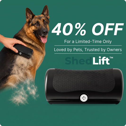 ShedLift™ Deshedding Brush — Painless Undercoat Grooming Tool for Dogs, Cats & Rabbits